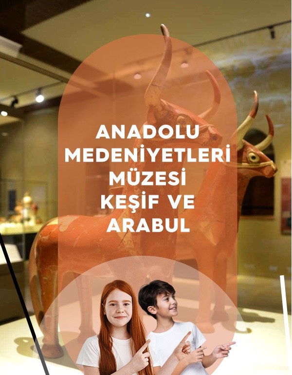 Anadolu Medeniyetleri Müzesi Keşif ve Arabul Atölyesi
