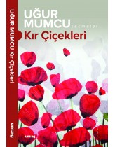 Kır Çiçekleri