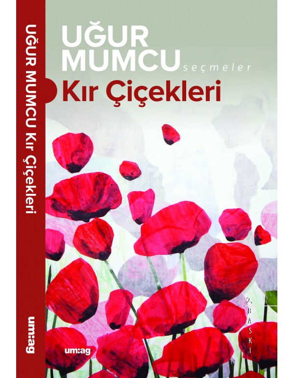 Kır Çiçekleri